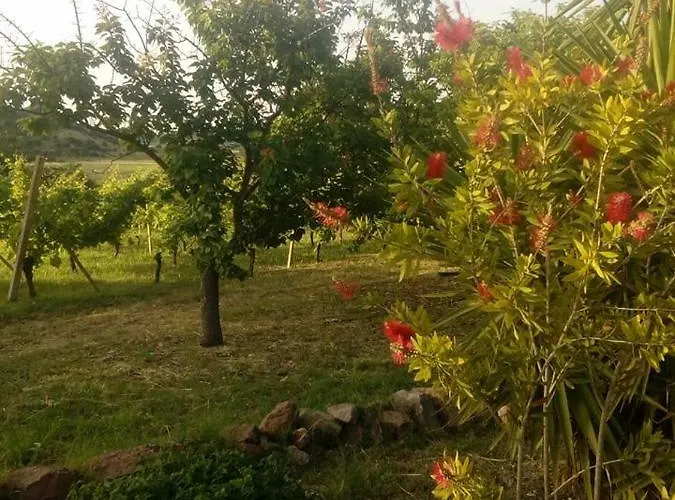 Residenza Agrituristica Santa Lucia Con Piscina * Alghero