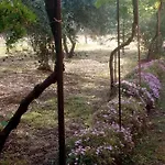 Apartman Residenza Agrituristica Santa Lucia Con Piscina *