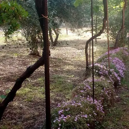 Διαμέρισμα Residenza Agrituristica Santa Lucia Con Piscina *