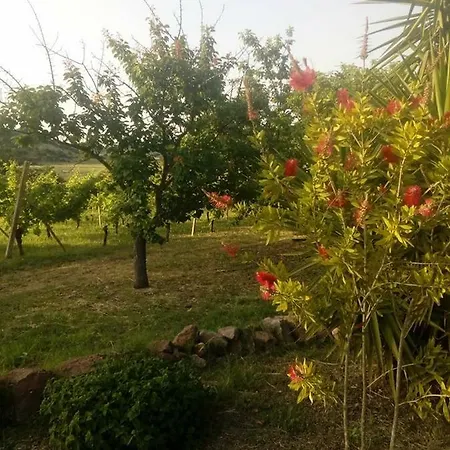 Residenza Agrituristica Santa Lucia Con Piscina * Alguer